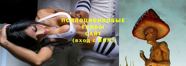 гашиш Магас