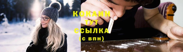 PSILOCYBIN Карталы