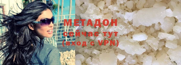 индика Козельск