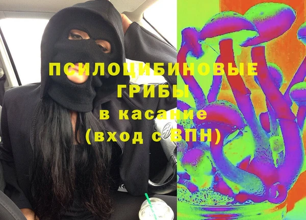индика Козельск