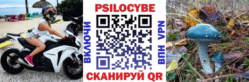 Галлюциногенные грибы Cubensis Вяземский