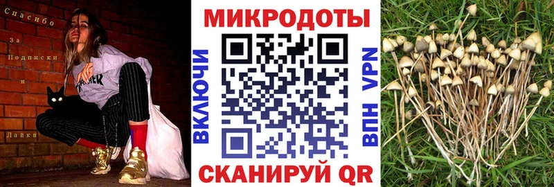 купить закладку  Вяземский  Псилоцибиновые грибы Magic Shrooms 